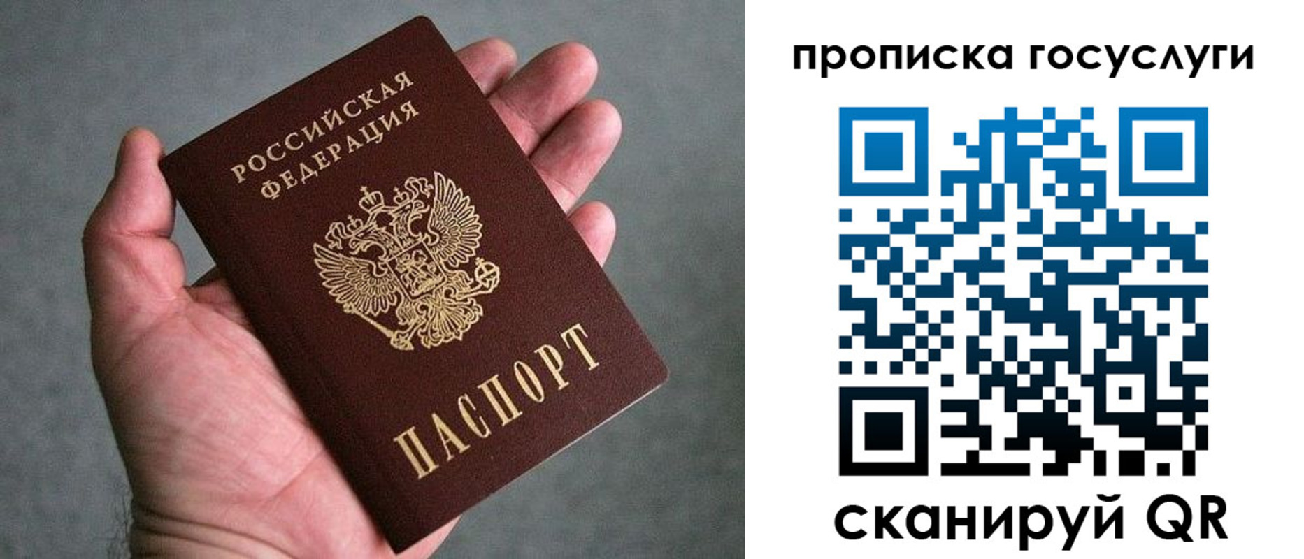 прописка поиск в Липецке